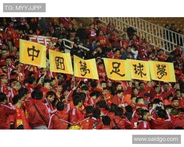 北京网球队在洲际杯积分榜上以100分稳居第一名展现强劲实力