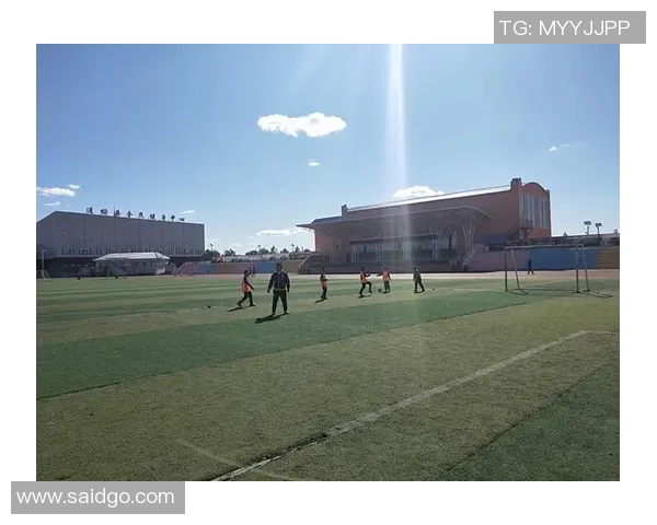 女版足球明星崛起她们如何在绿茵场上书写传奇与荣耀