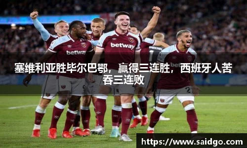 必一bsports