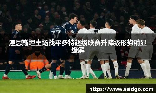 涅恩斯坦主场战平多特超级联赛升降级形势稍显缓解